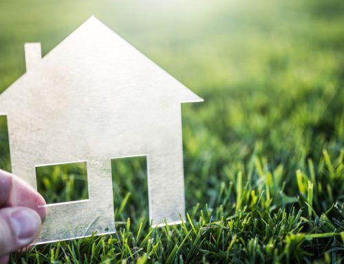 Comment rendre votre maison plus durable lors de la rénovation